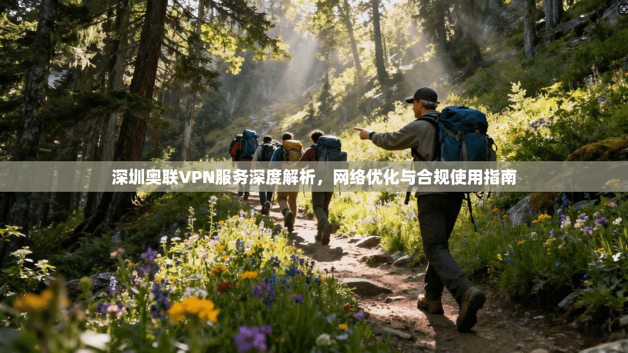深圳奥联VPN服务深度解析，网络优化与合规使用指南