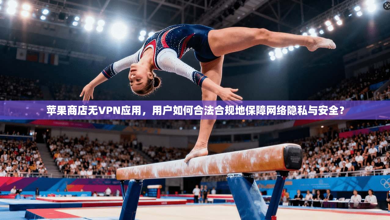 苹果商店无VPN应用，用户如何合法合规地保障网络隐私与安全？