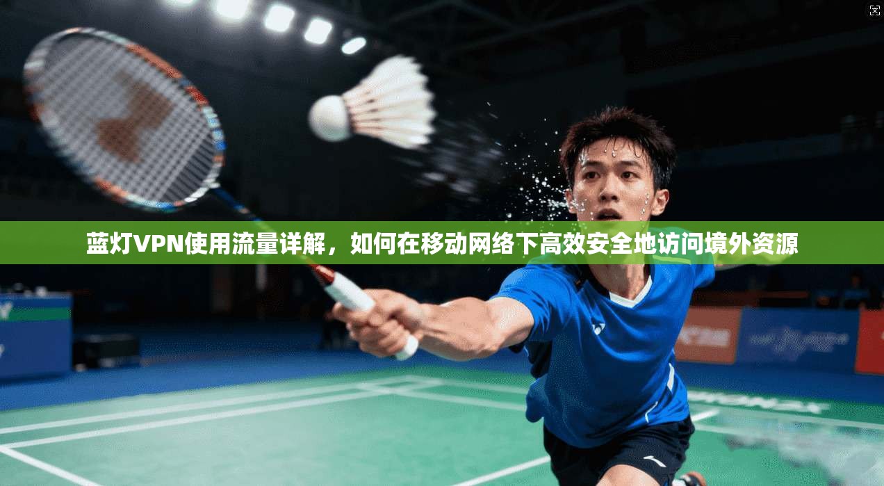 蓝灯VPN使用流量详解，如何在移动网络下高效安全地访问境外资源