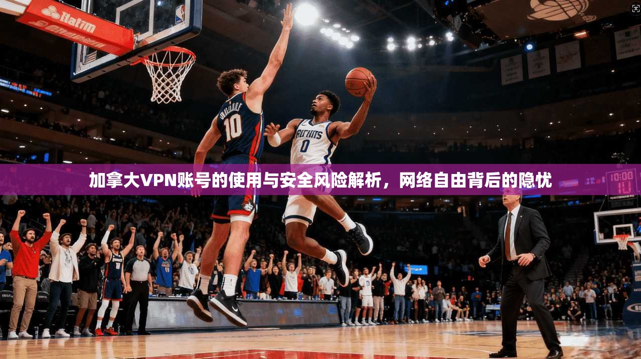 加拿大VPN账号的使用与安全风险解析，网络自由背后的隐忧