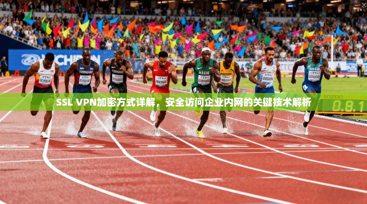SSL VPN加密方式详解,安全访问企业内网的关键技术解析 SSL VPN加密方式详解,安全访问企业内网的关键技术解析