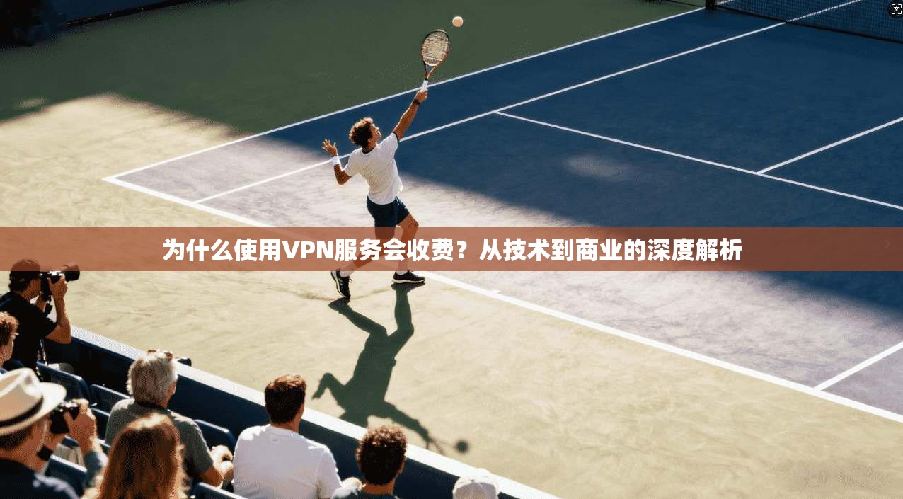 为什么使用VPN服务会收费?从技术到商业的深度解析 为什么使用VPN服务会收费?从技术到商业的深度解析