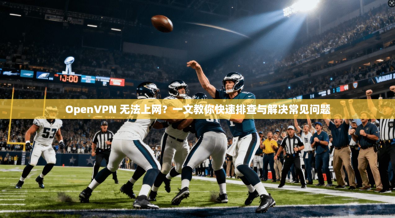 OpenVPN 无法上网?一文教你快速排查与解决常见问题 OpenVPN 无法上网?一文教你快速排查与解决常见问题