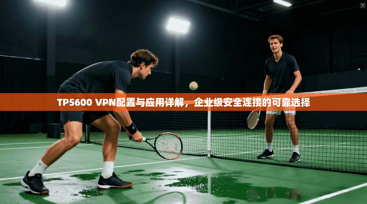 TP5600 VPN配置与应用详解,企业级安全连接的可靠选择 TP5600 VPN配置与应用详解,企业级安全连接的可靠选择