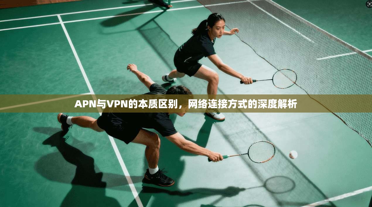 APN与VPN的本质区别，网络连接方式的深度解析