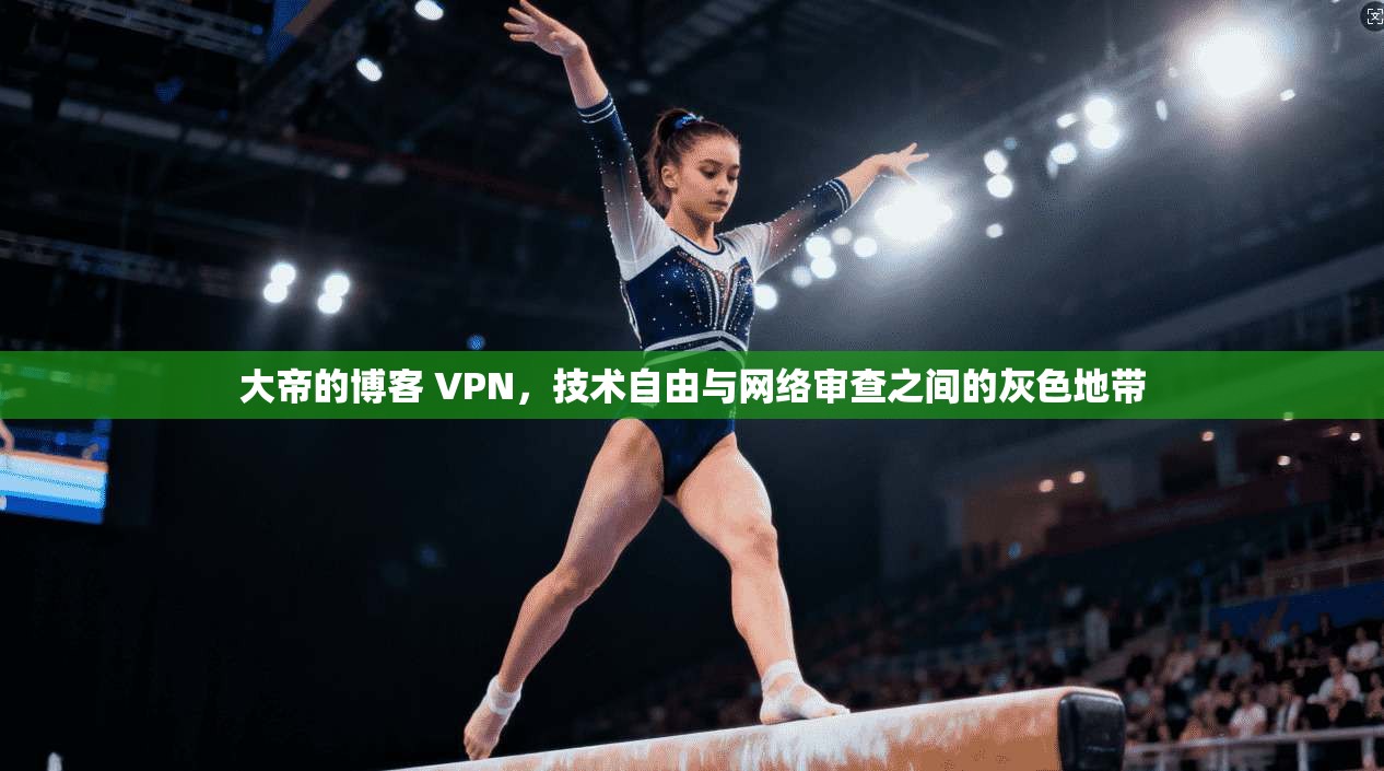 大帝的博客 VPN，技术自由与网络审查之间的灰色地带