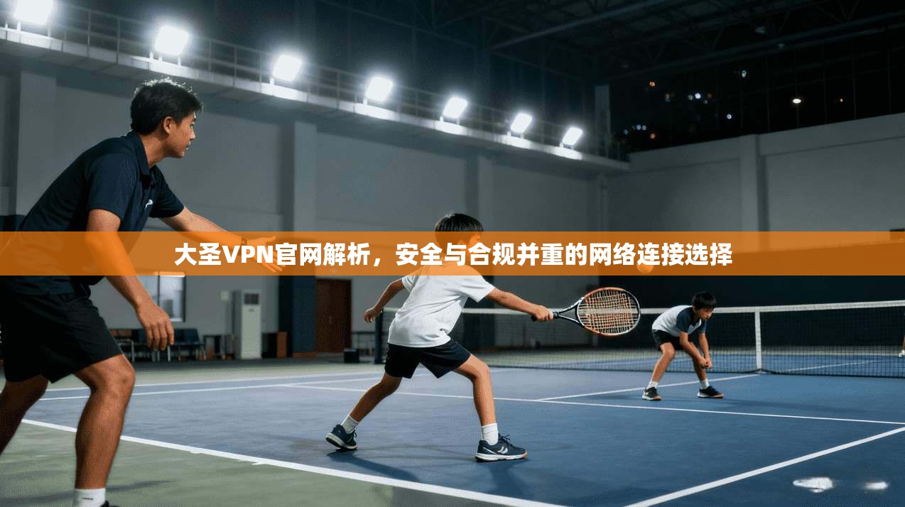 大圣VPN官网解析，安全与合规并重的网络连接选择