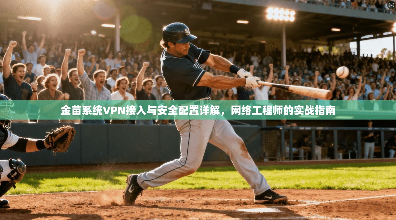 金苗系统VPN接入与安全配置详解，网络工程师的实战指南