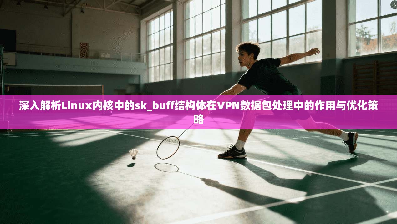 深入解析Linux内核中的sk_buff结构体在VPN数据包处理中的作用与优化策略