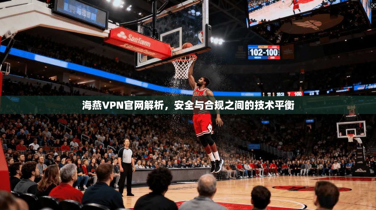 海燕VPN官网解析，安全与合规之间的技术平衡