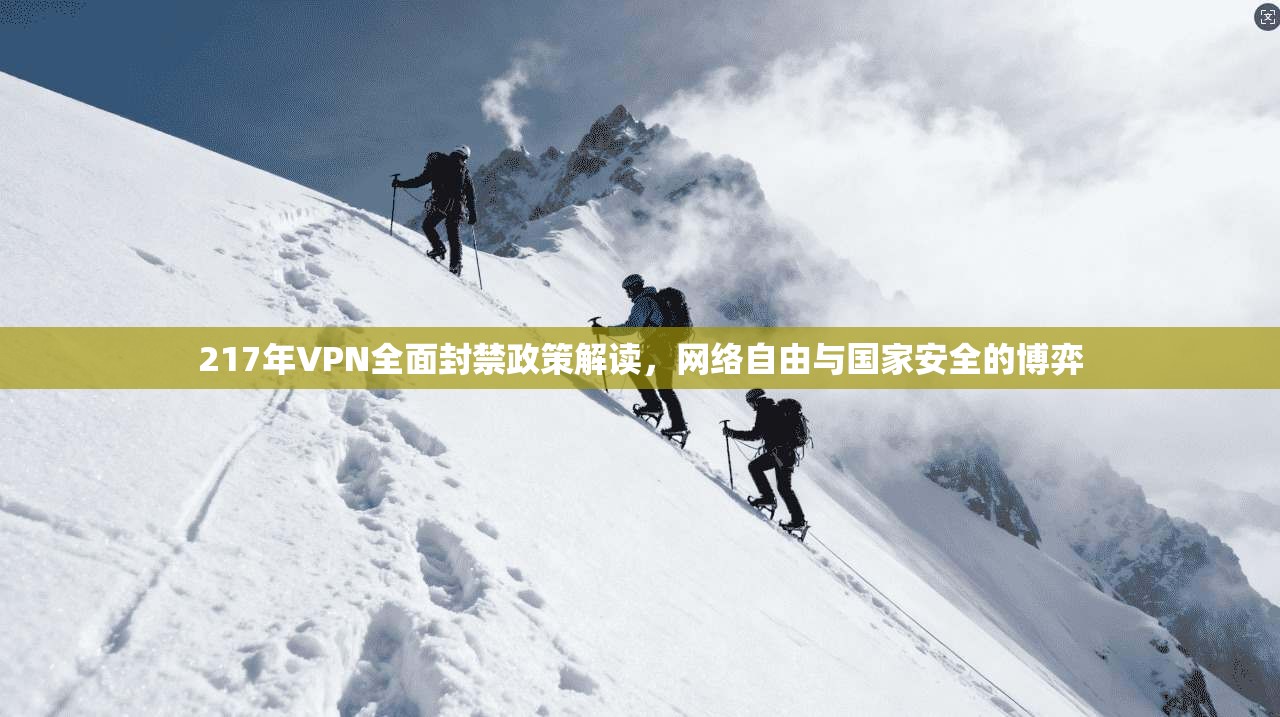 217年VPN全面封禁政策解读,网络自由与国家安全的博弈 217年VPN全面封禁政策解读,网络自由与国家安全的博弈