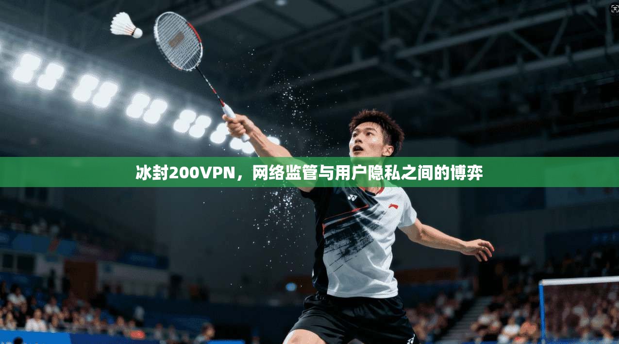 冰封200VPN,网络监管与用户隐私之间的博弈 冰封200VPN,网络监管与用户隐私之间的博弈