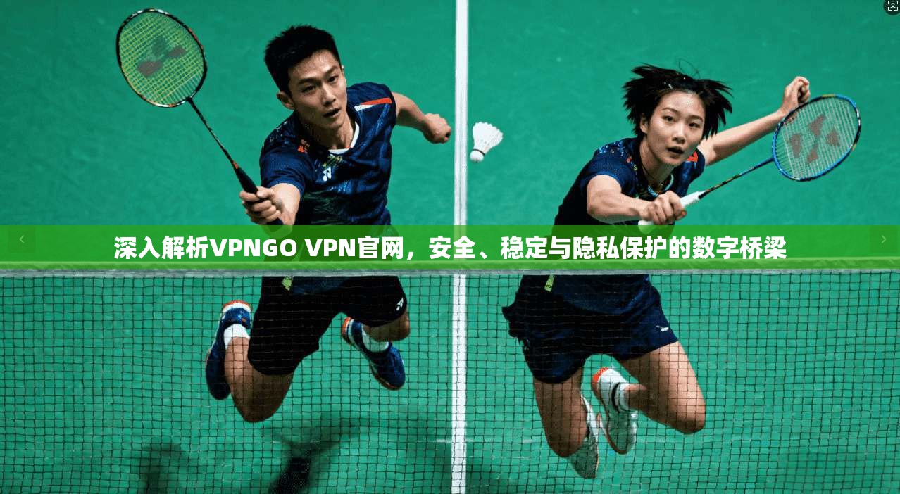 深入解析VPNGO VPN官网，安全、稳定与隐私保护的数字桥梁