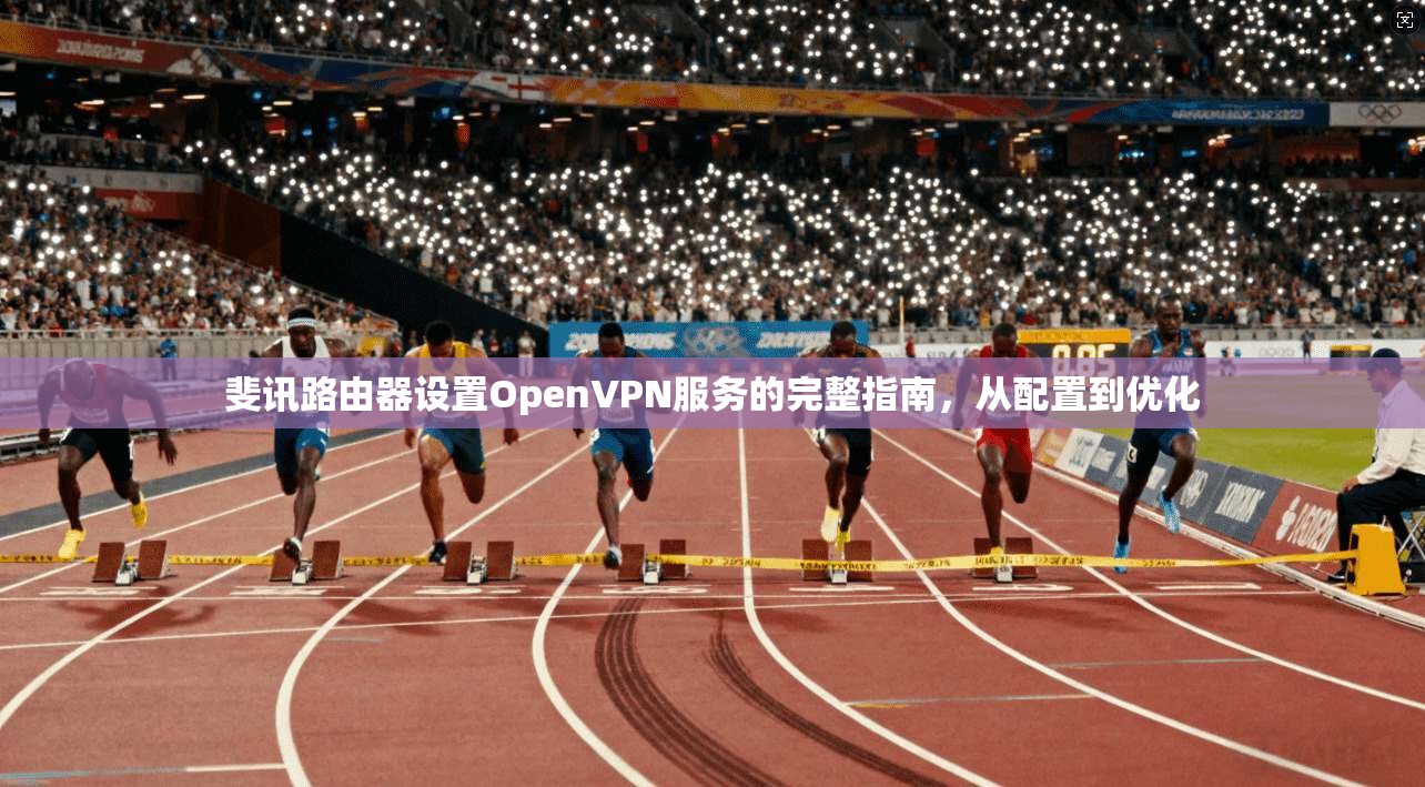 斐讯路由器设置OpenVPN服务的完整指南，从配置到优化