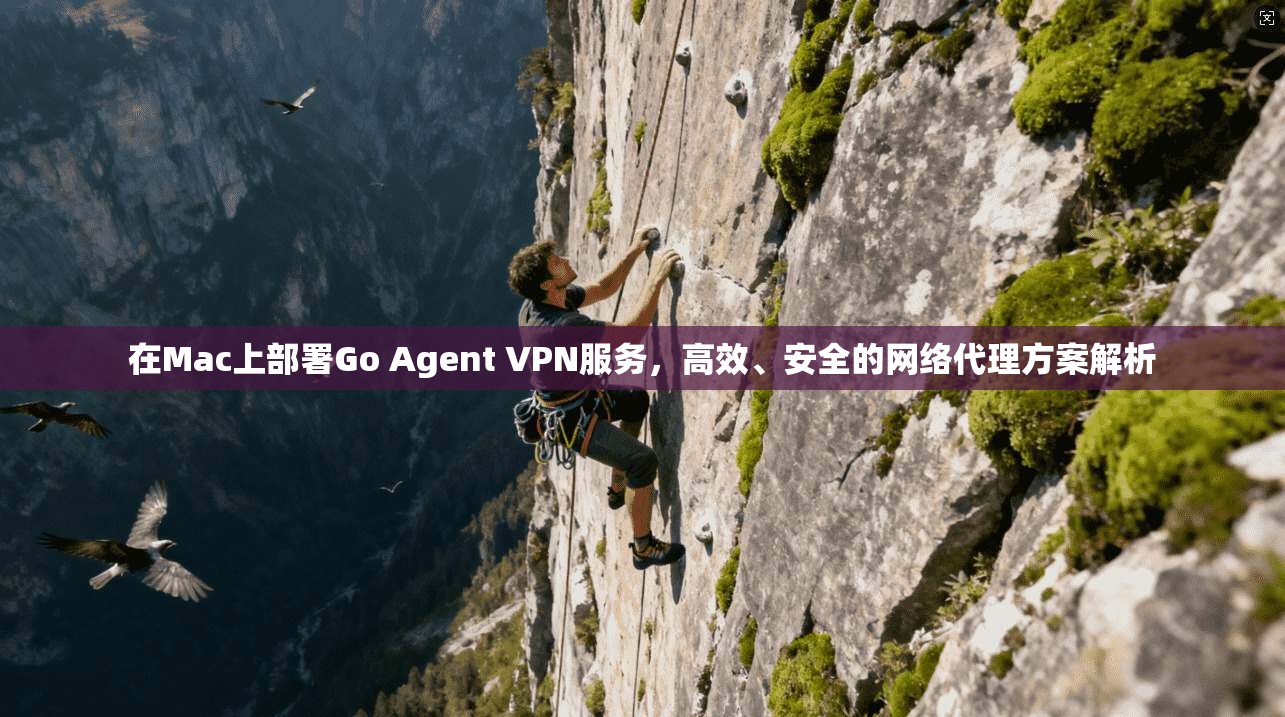 在Mac上部署Go Agent VPN服务，高效、安全的网络代理方案解析
