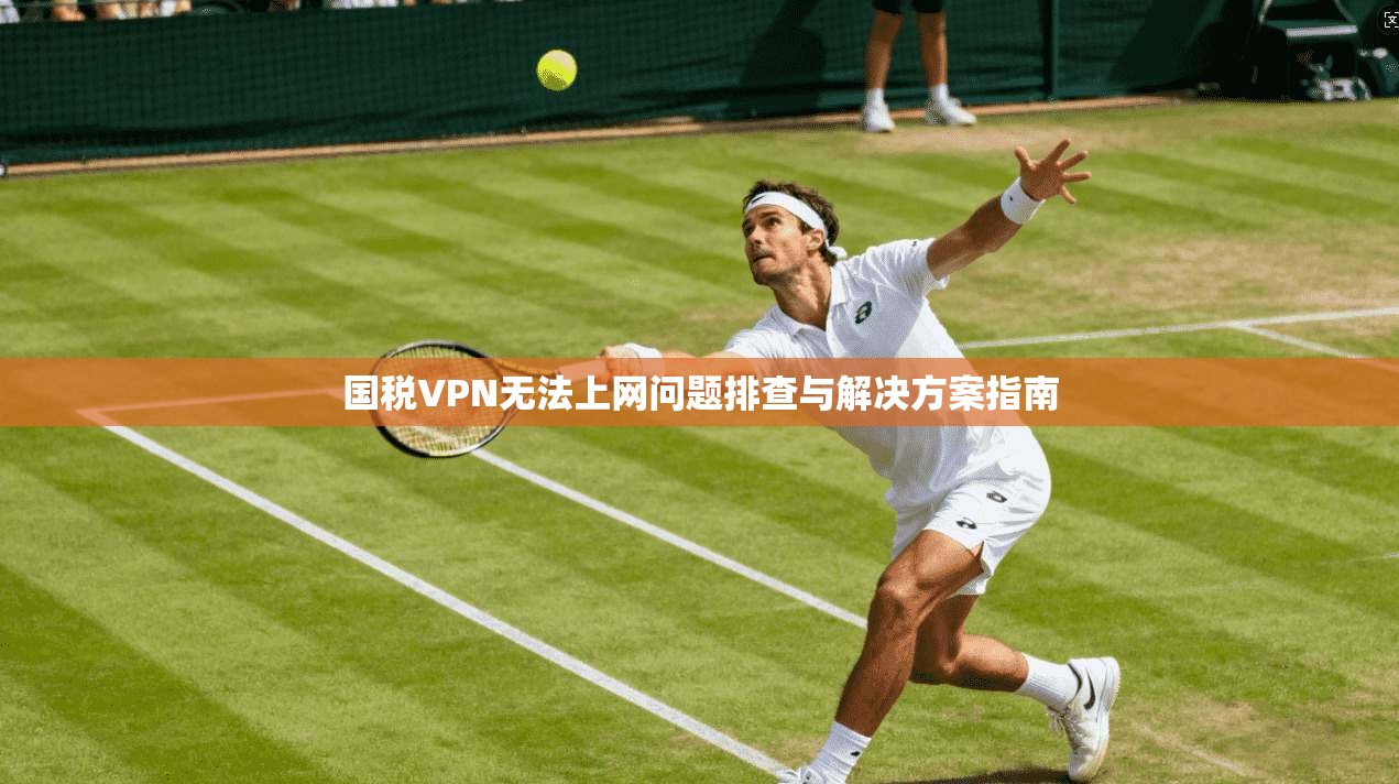 国税VPN无法上网问题排查与解决方案指南