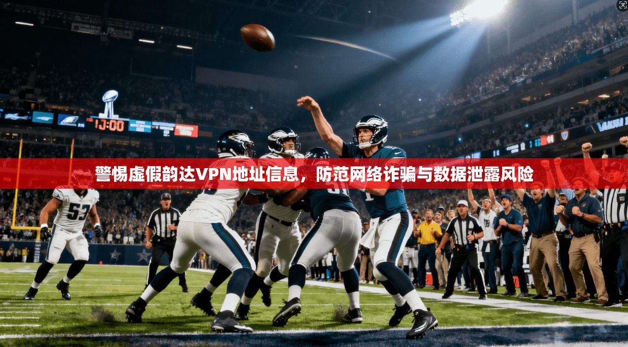 警惕虚假韵达VPN地址信息，防范网络诈骗与数据泄露风险