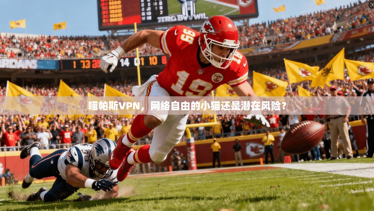 喵帕斯VPN，网络自由的小猫还是潜在风险？